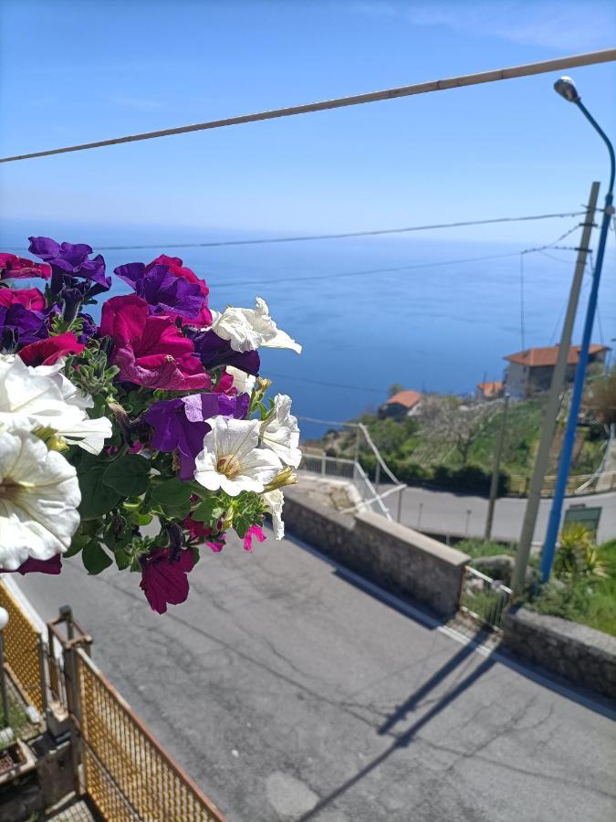 Casa Teranga Ξενοδοχείο Furore Εξωτερικό φωτογραφία